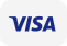 Payment Method Visa